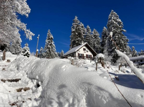 Le Joly Chalet